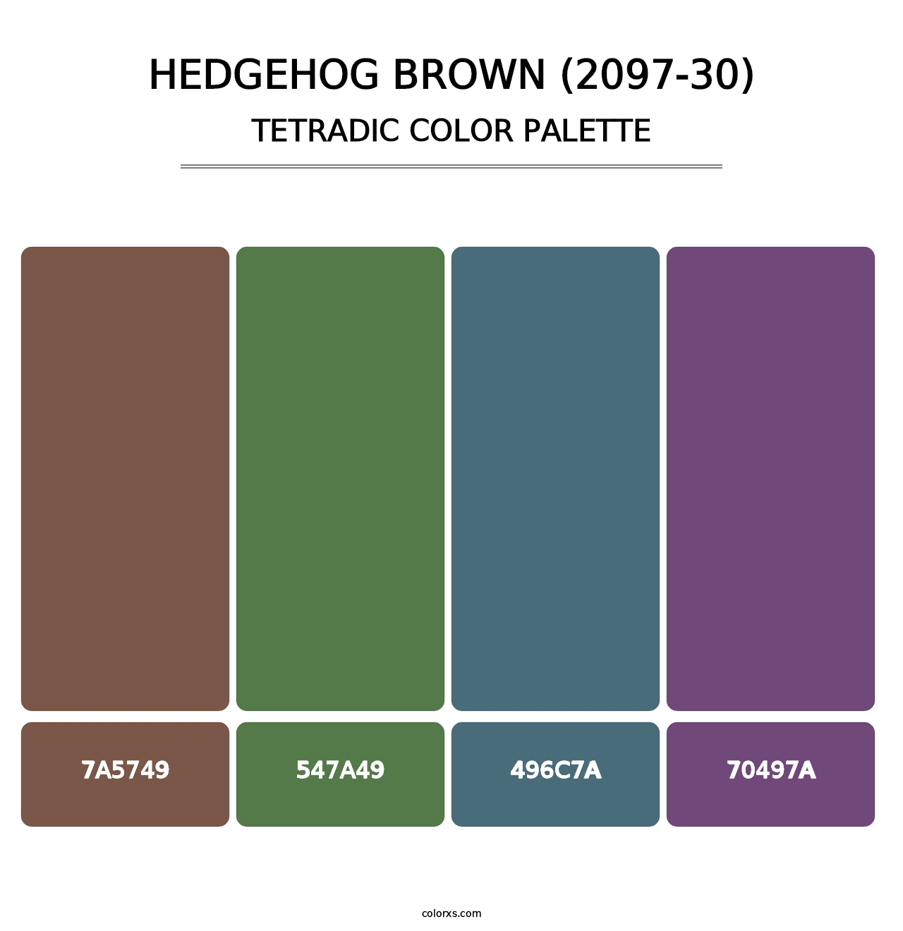 Hedgehog Brown (2097-30) - Tetradic Color Palette