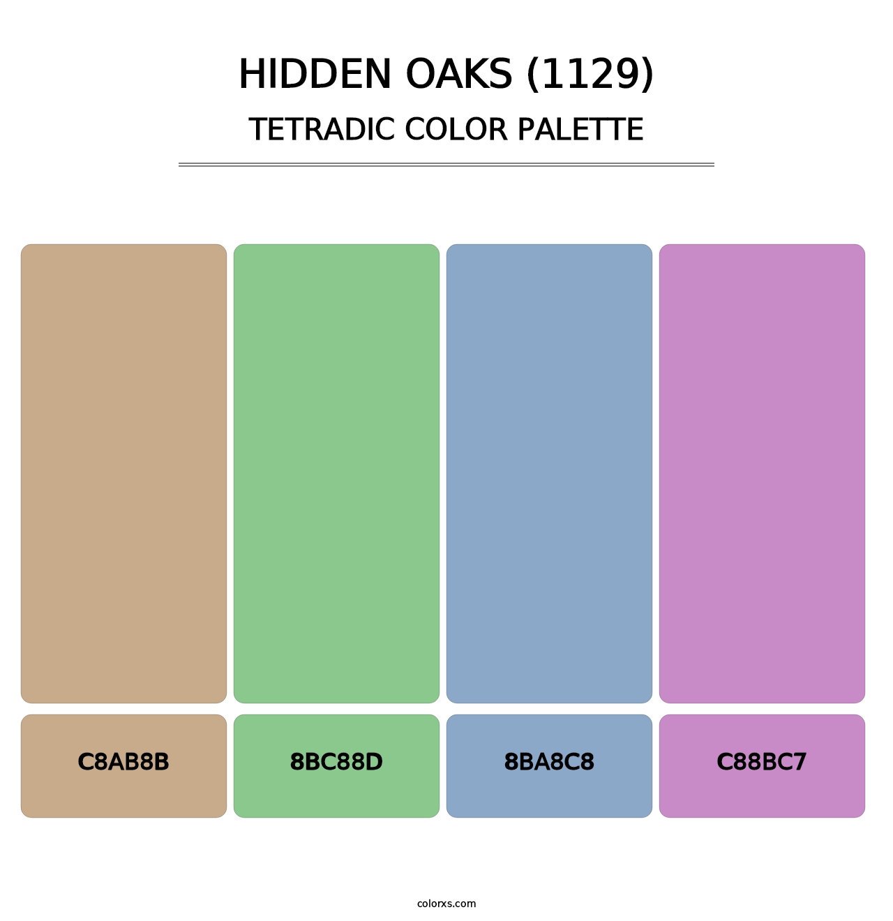 Hidden Oaks (1129) - Tetradic Color Palette