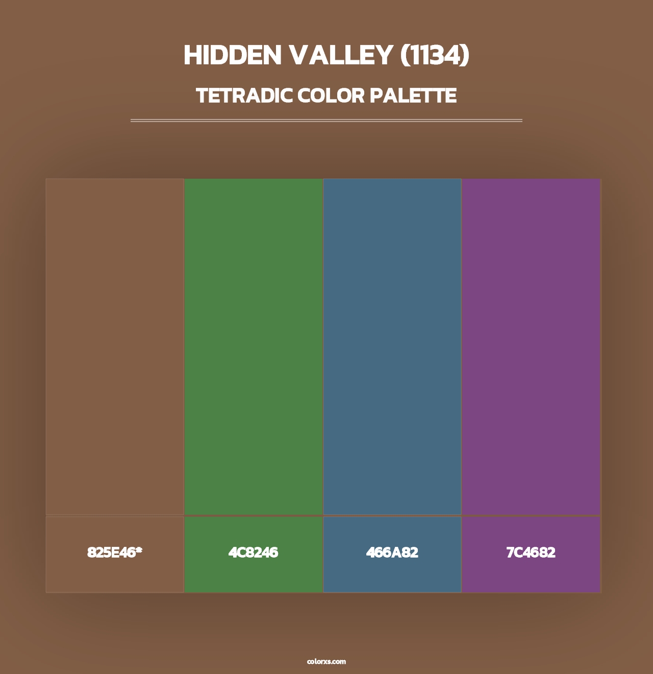 Hidden Valley (1134) - Tetradic Color Palette