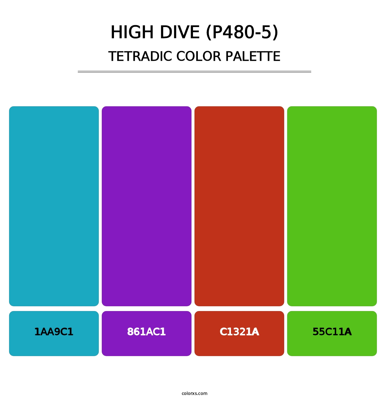 High Dive (P480-5) - Tetradic Color Palette