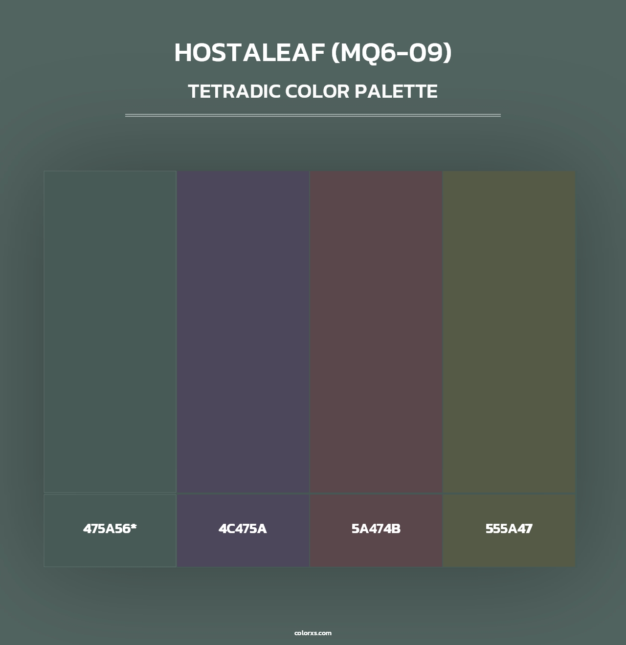 Hostaleaf (MQ6-09) - Tetradic Color Palette