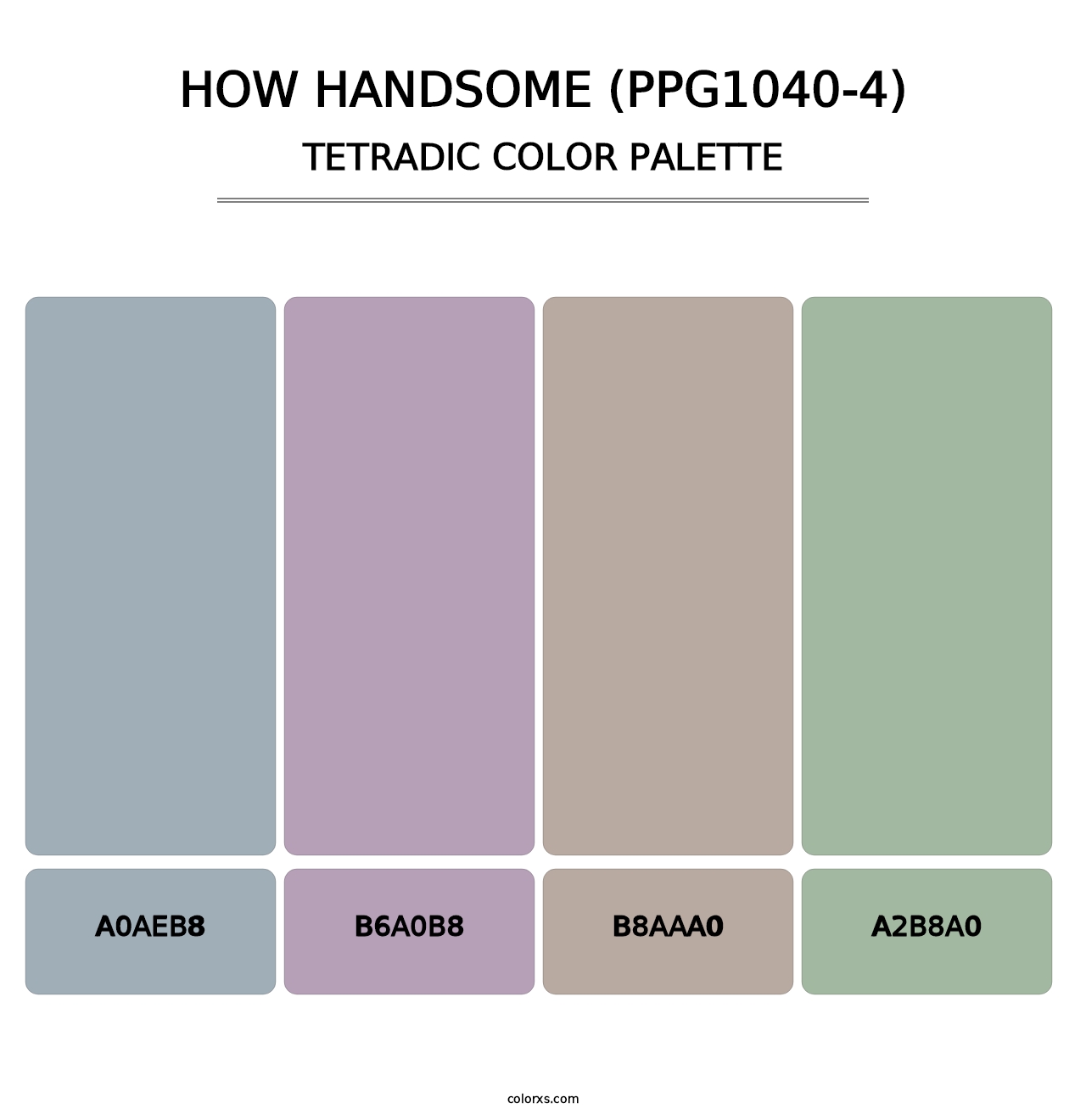 How Handsome (PPG1040-4) - Tetradic Color Palette