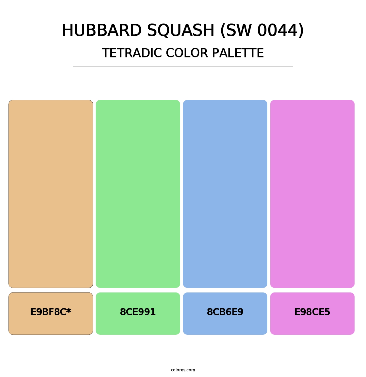 Hubbard Squash (SW 0044) - Tetradic Color Palette