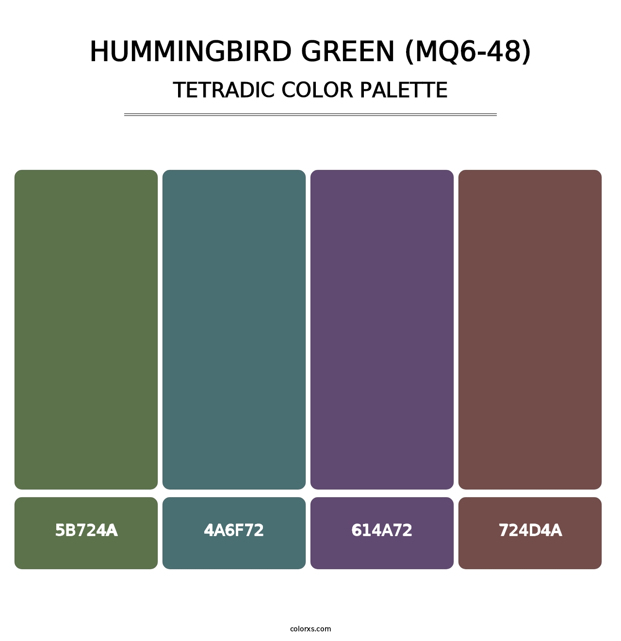 Hummingbird Green (MQ6-48) - Tetradic Color Palette