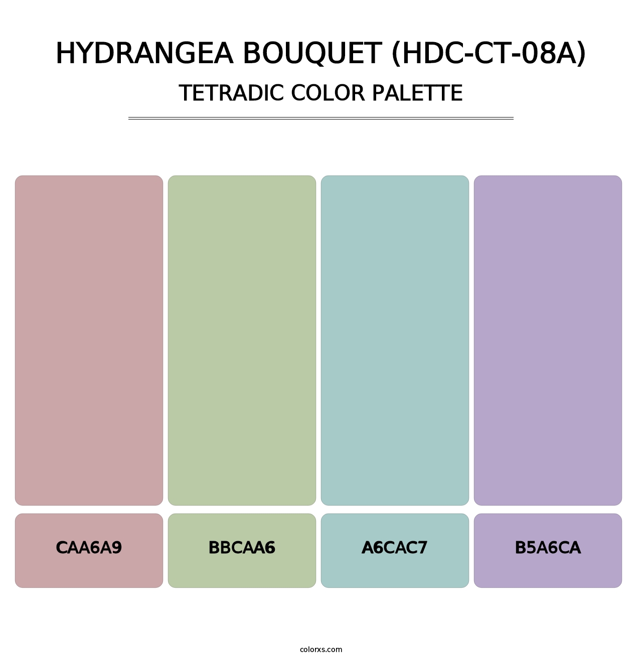 Hydrangea Bouquet (HDC-CT-08A) - Tetradic Color Palette