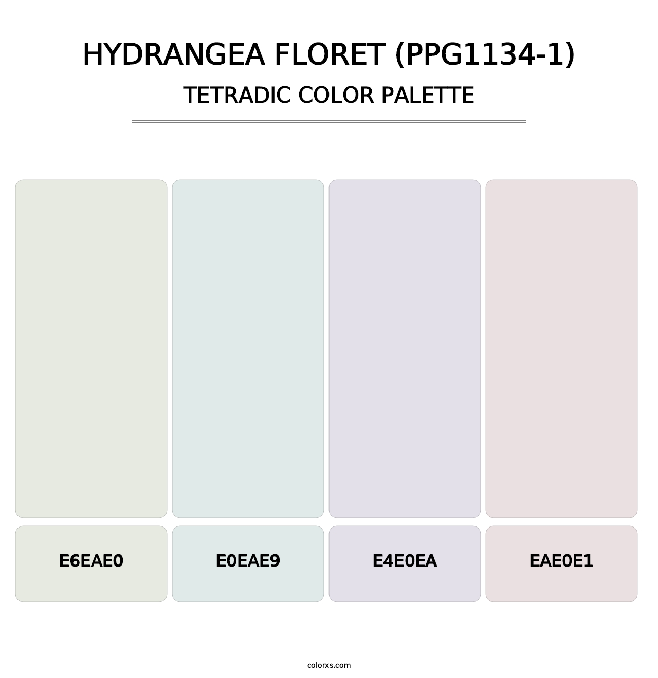 Hydrangea Floret (PPG1134-1) - Tetradic Color Palette