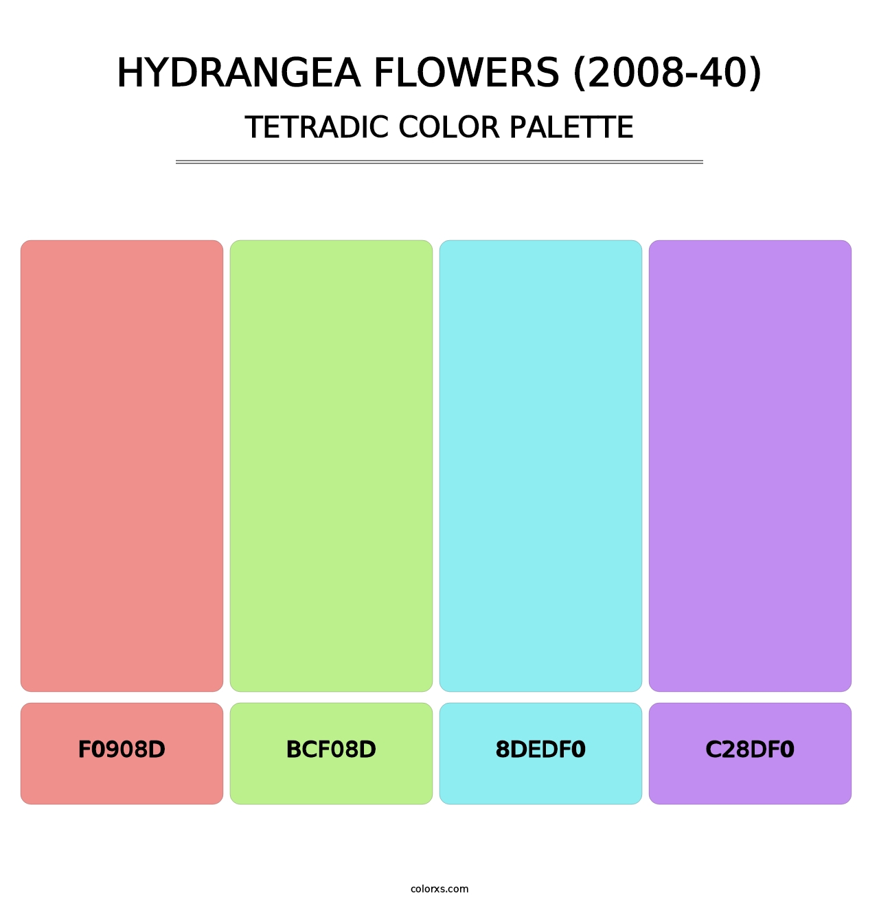 Hydrangea Flowers (2008-40) - Tetradic Color Palette