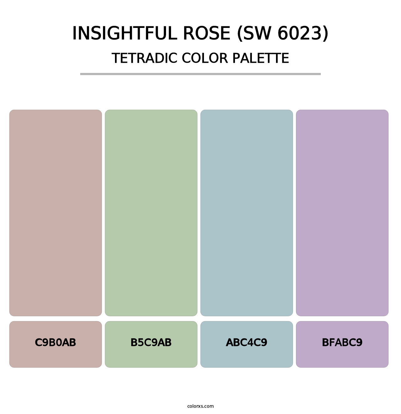 Insightful Rose (SW 6023) - Tetradic Color Palette