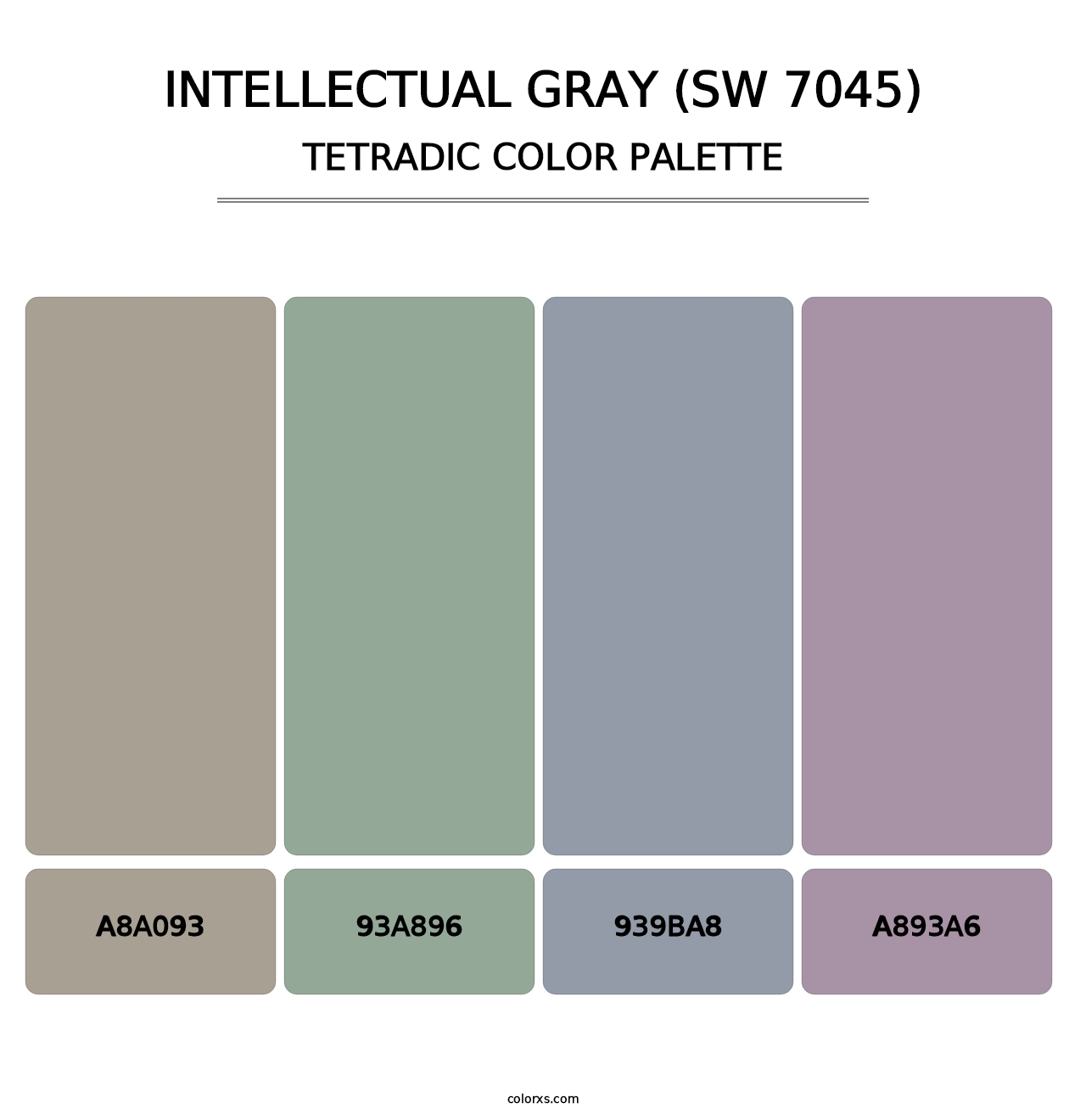 Intellectual Gray (SW 7045) - Tetradic Color Palette