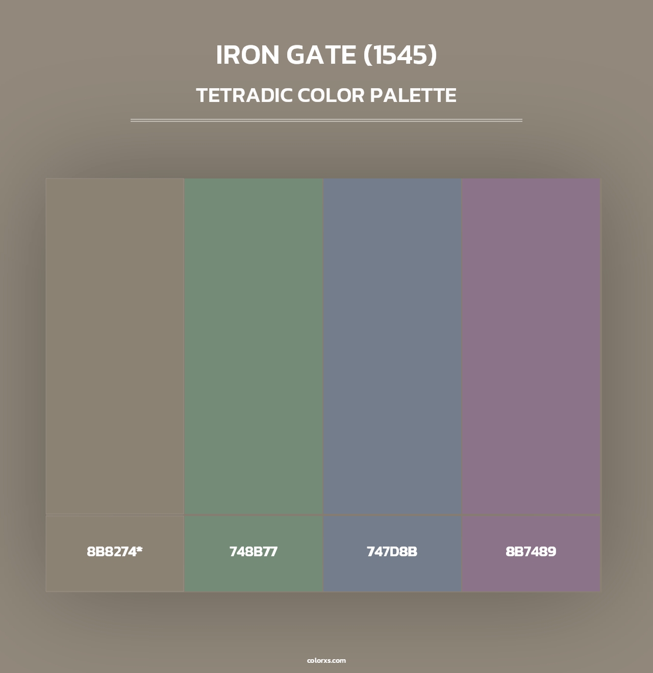 Iron Gate (1545) - Tetradic Color Palette