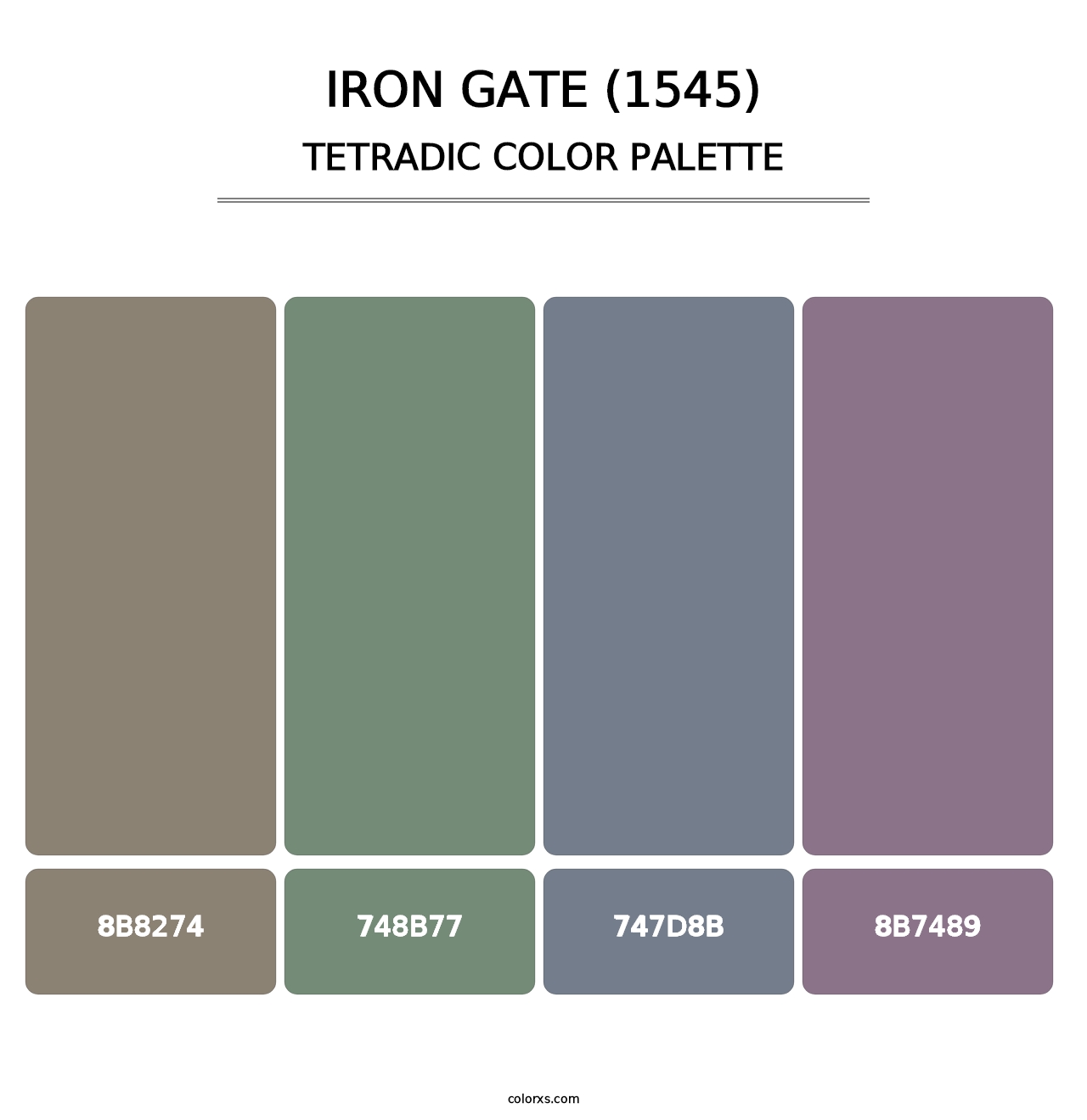 Iron Gate (1545) - Tetradic Color Palette