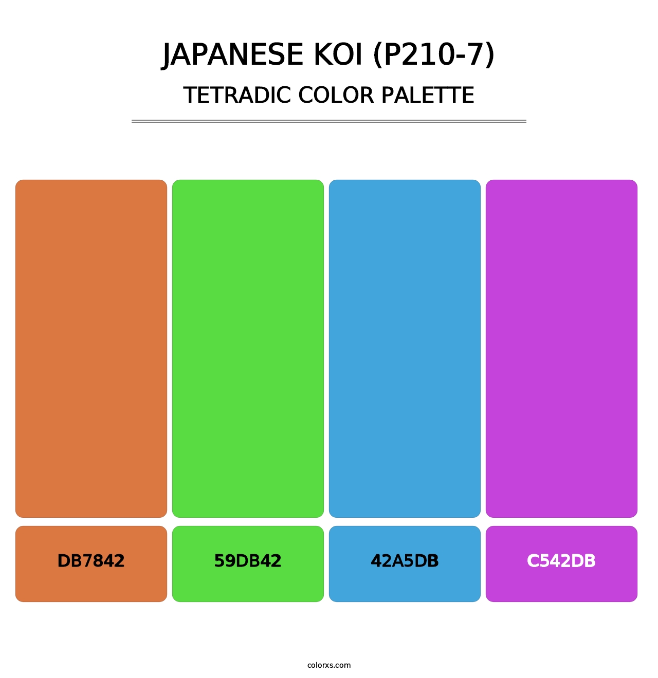 Japanese Koi (P210-7) - Tetradic Color Palette