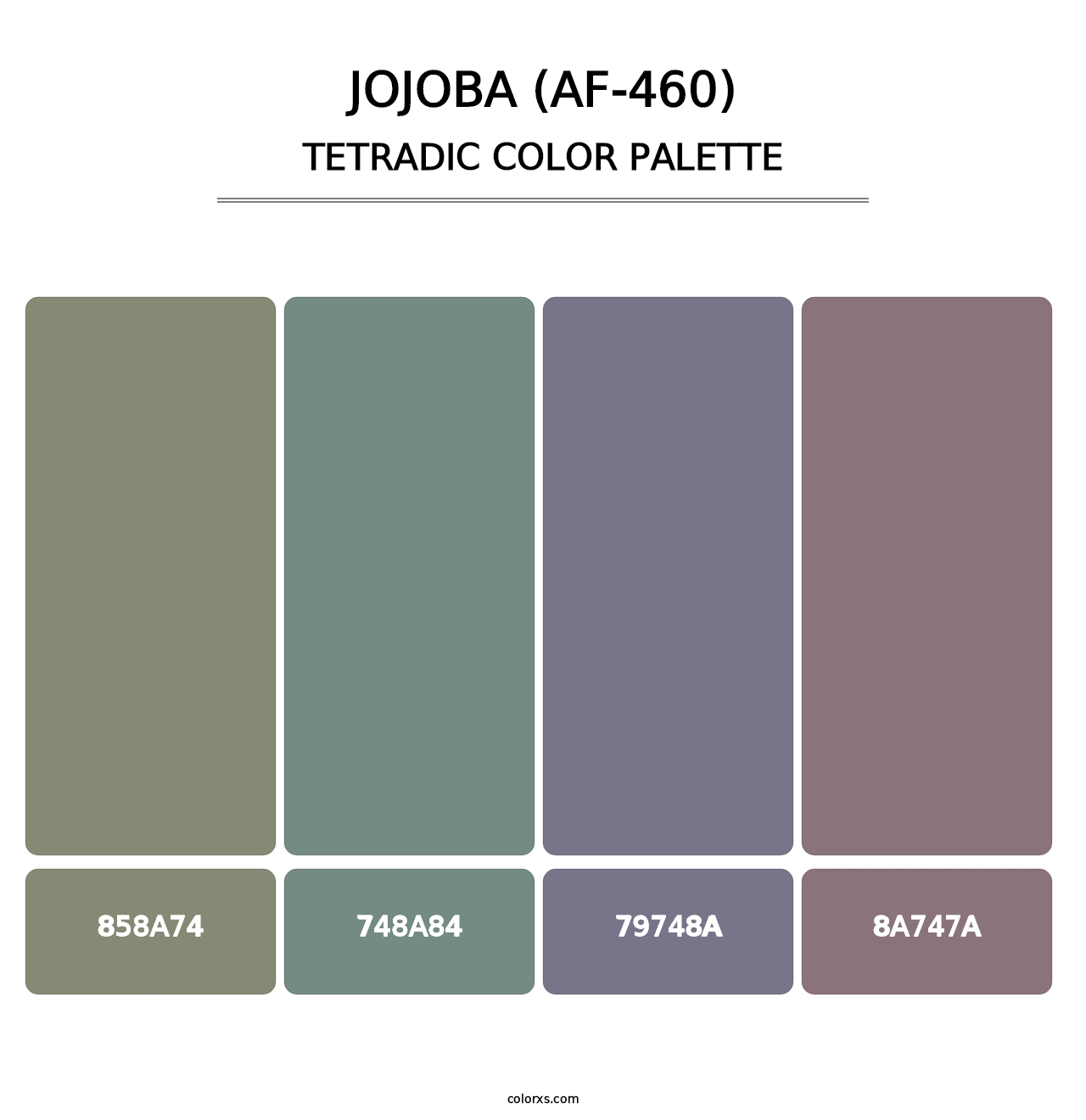 Jojoba (AF-460) - Tetradic Color Palette