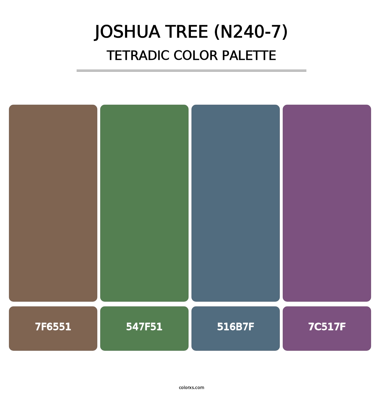 Joshua Tree (N240-7) - Tetradic Color Palette