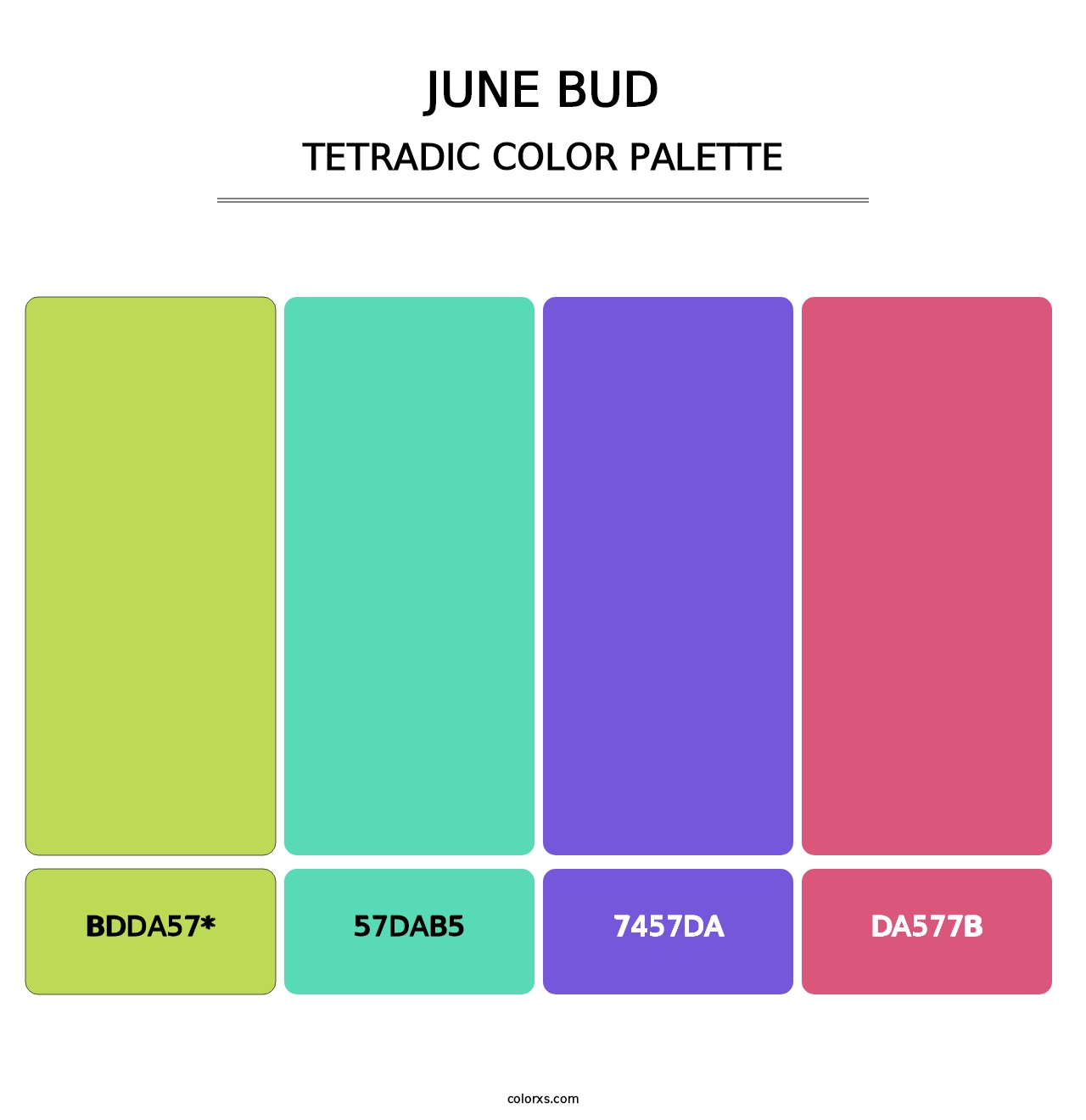 June Bud - Tetradic Color Palette