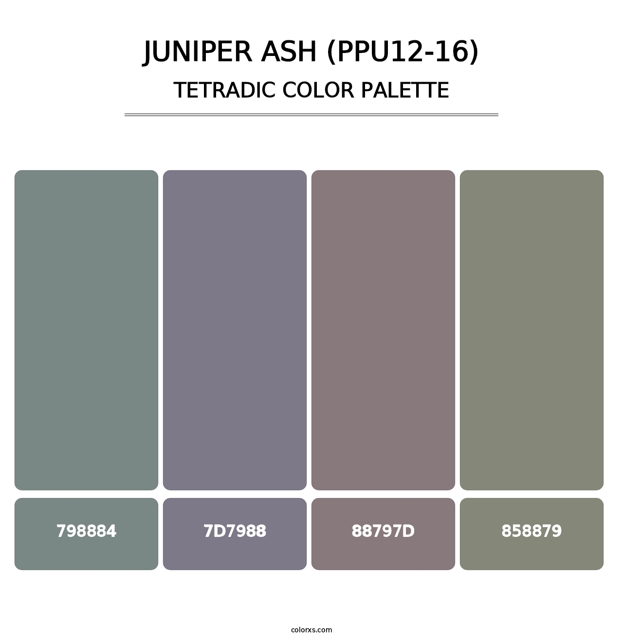 Juniper Ash (PPU12-16) - Tetradic Color Palette