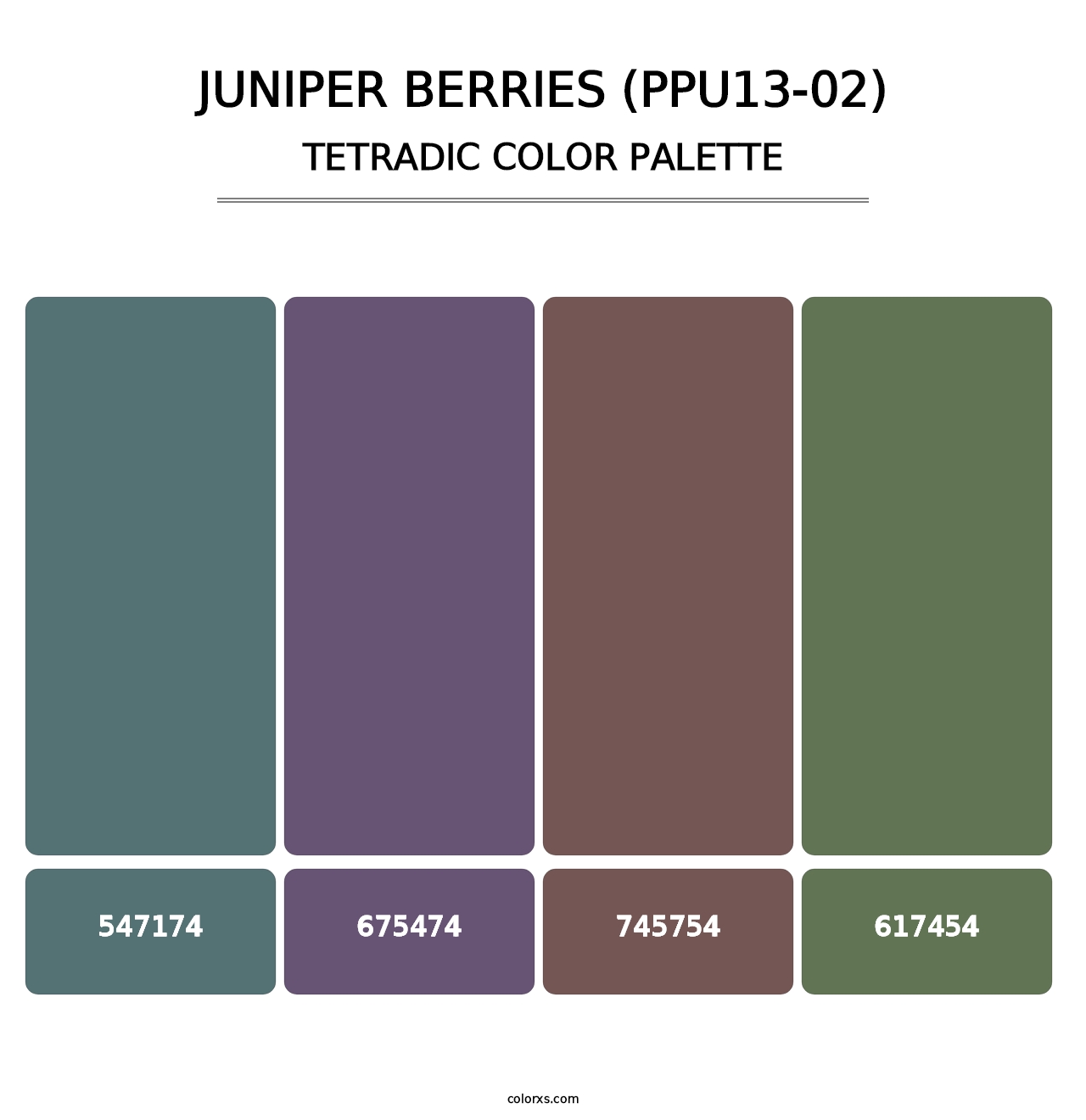 Juniper Berries (PPU13-02) - Tetradic Color Palette