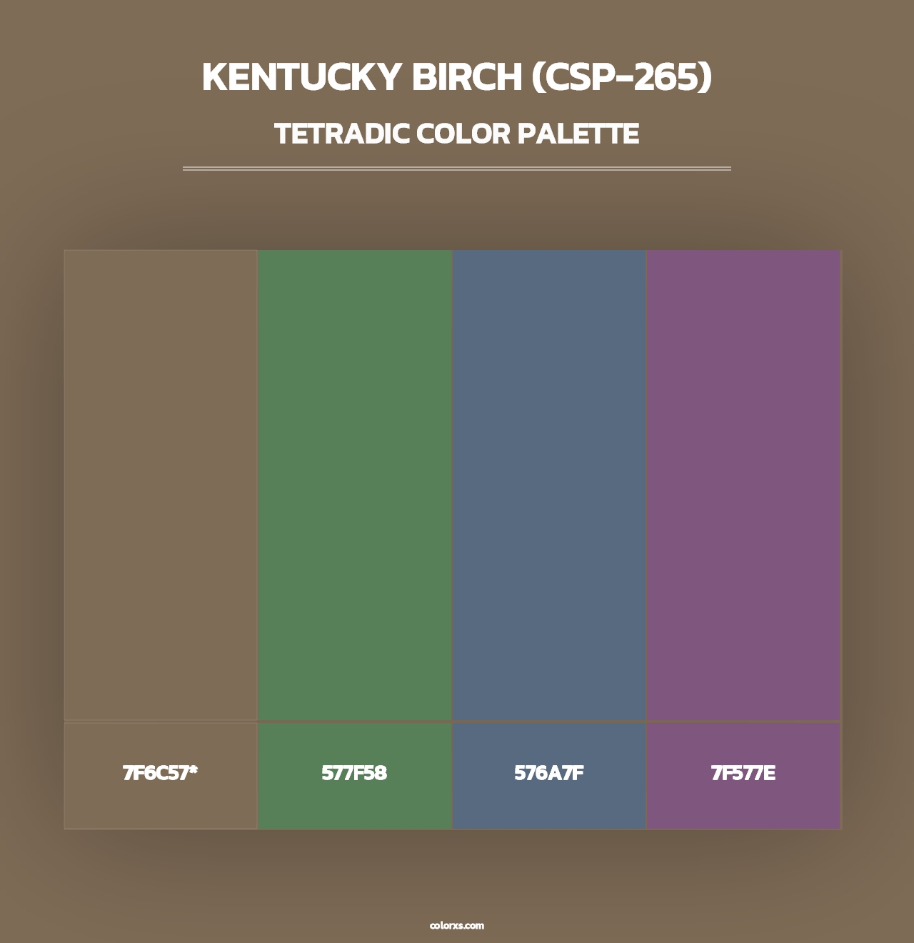 Kentucky Birch (CSP-265) - Tetradic Color Palette