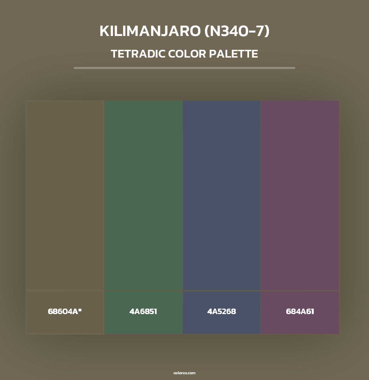 Kilimanjaro (N340-7) - Tetradic Color Palette