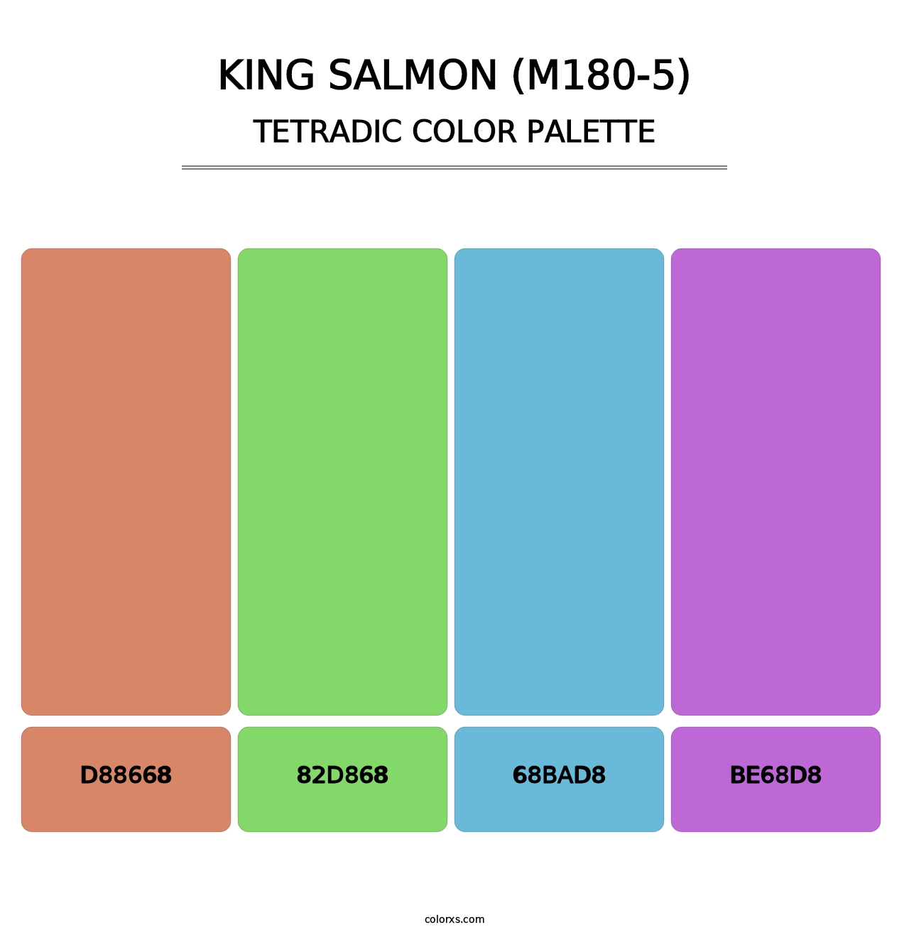 King Salmon (M180-5) - Tetradic Color Palette