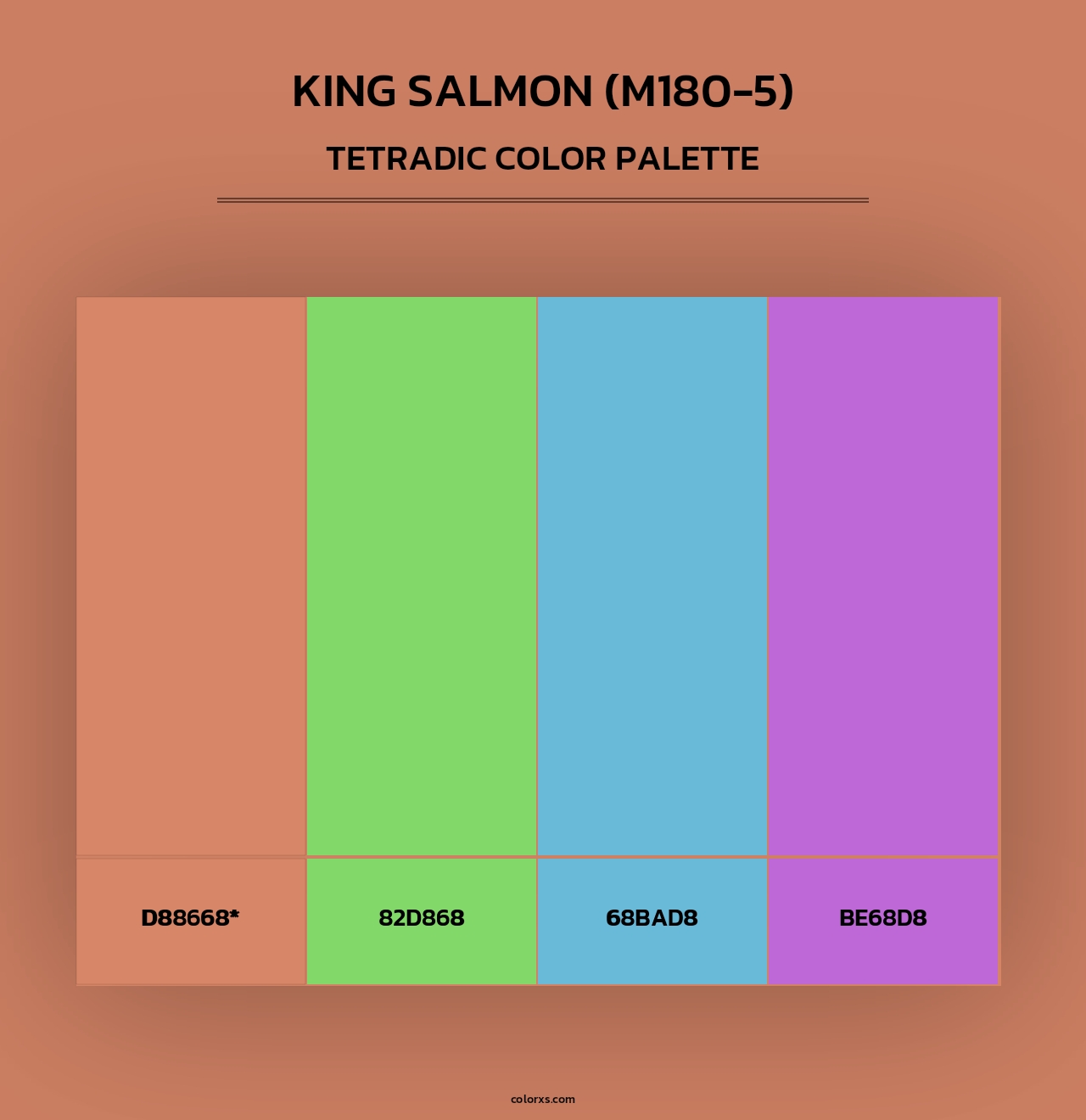 King Salmon (M180-5) - Tetradic Color Palette