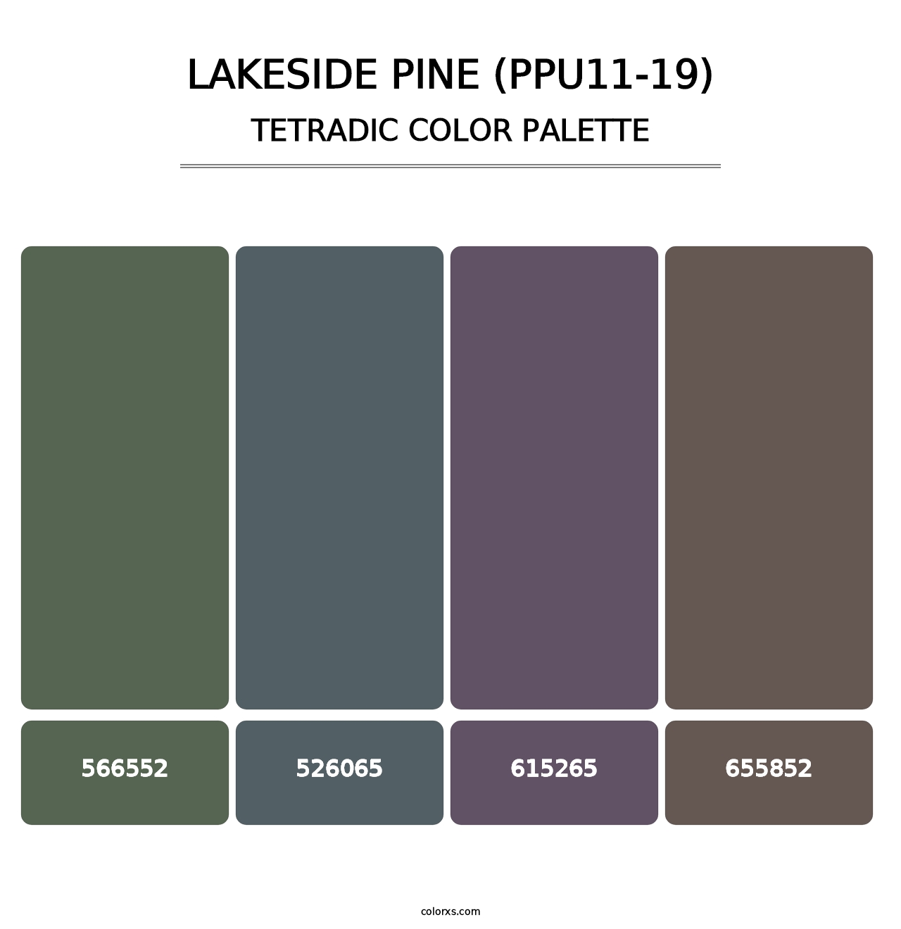 Lakeside Pine (PPU11-19) - Tetradic Color Palette