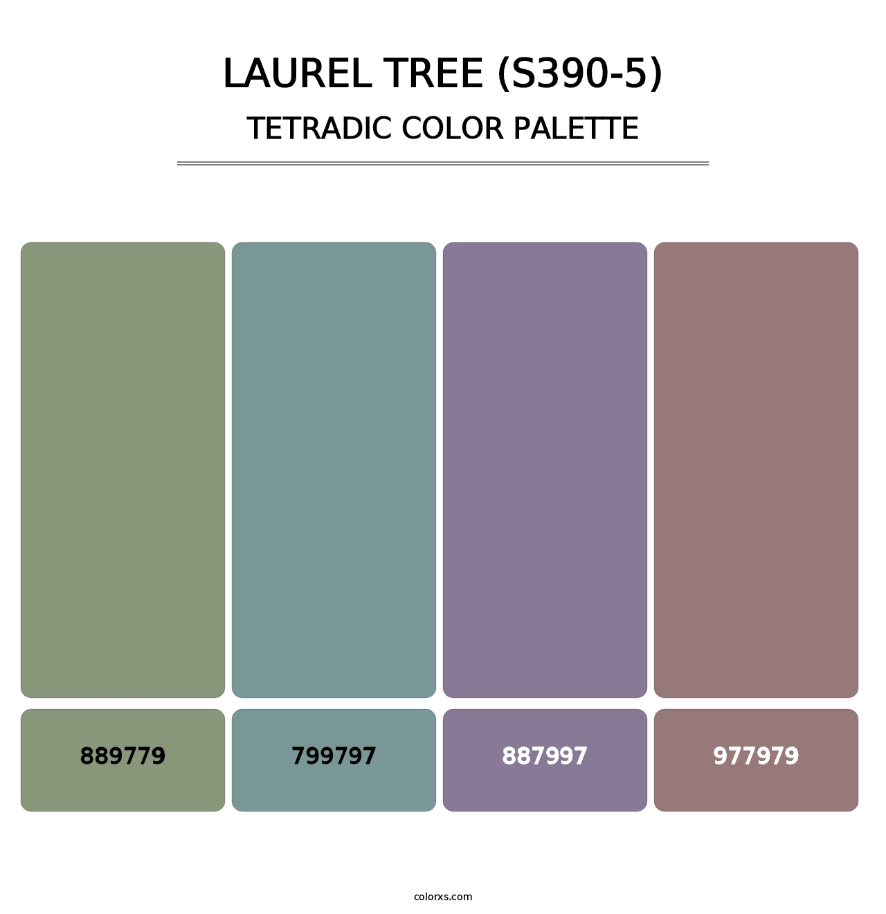 Laurel Tree (S390-5) - Tetradic Color Palette