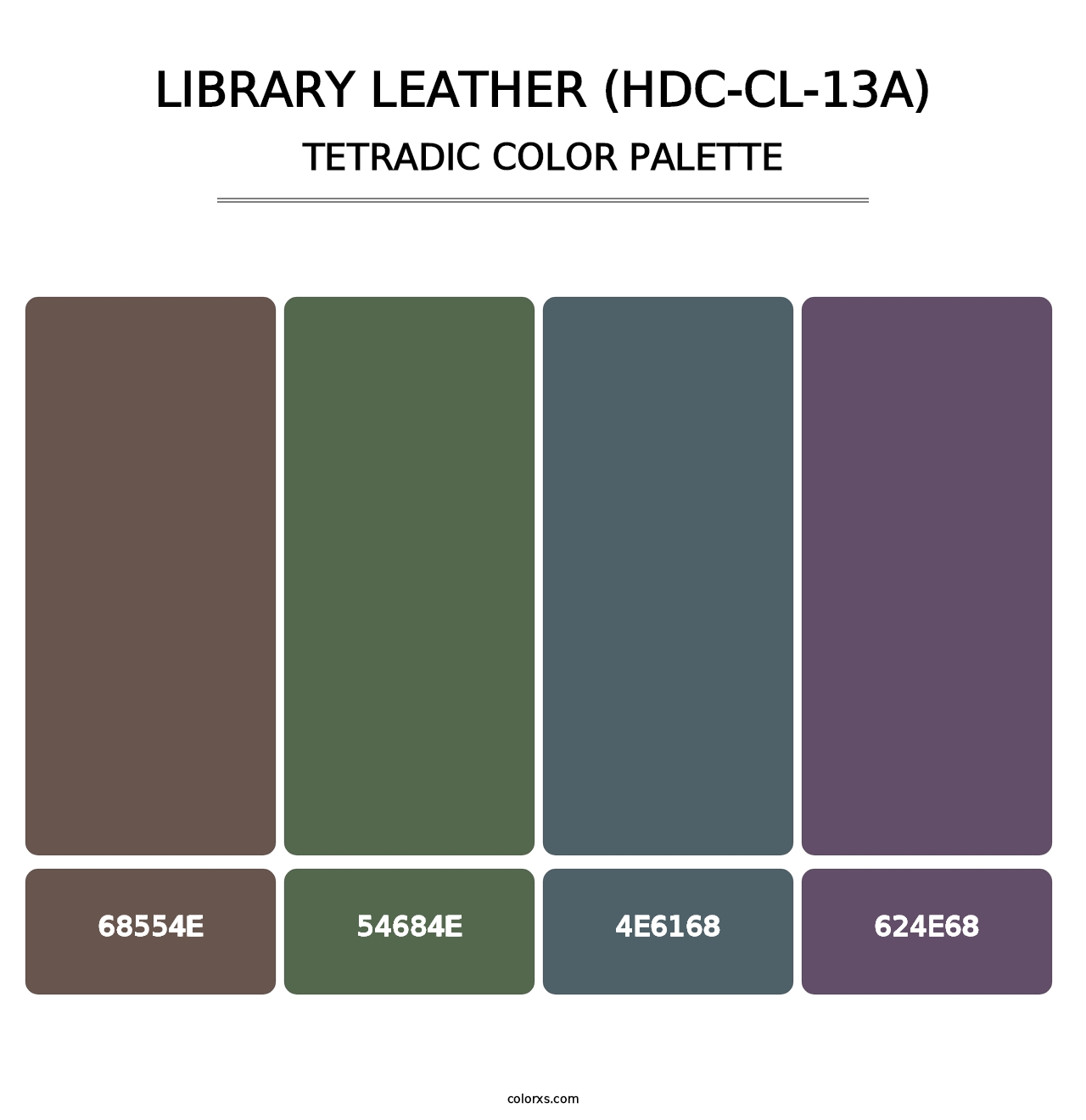 Library Leather (HDC-CL-13A) - Tetradic Color Palette