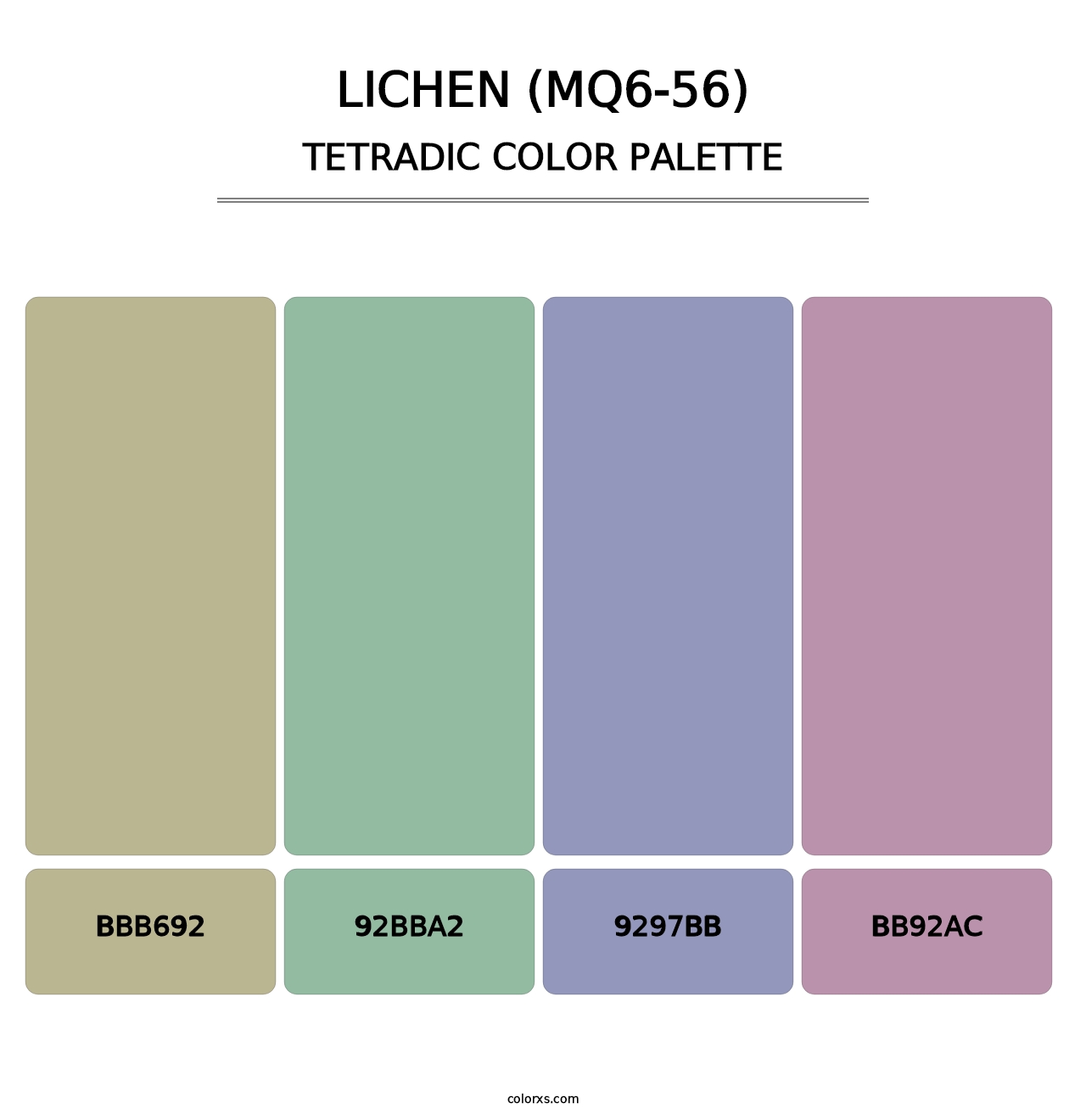 Lichen (MQ6-56) - Tetradic Color Palette