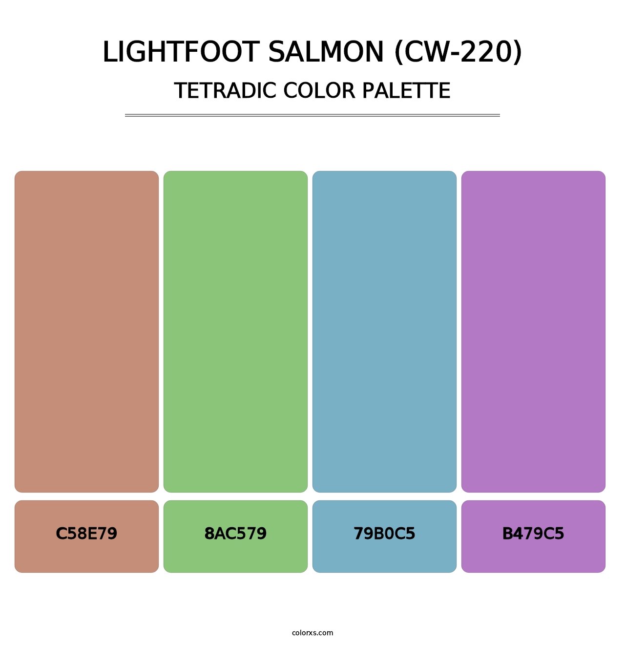 Lightfoot Salmon (CW-220) - Tetradic Color Palette