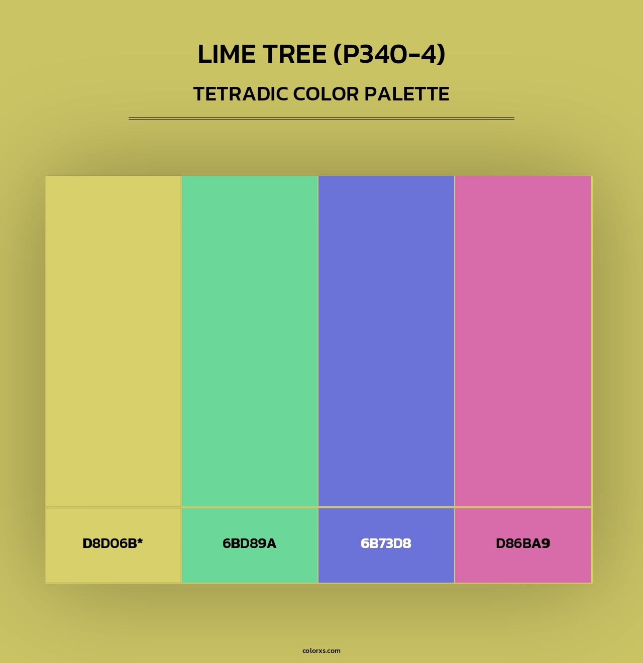 Lime Tree (P340-4) - Tetradic Color Palette