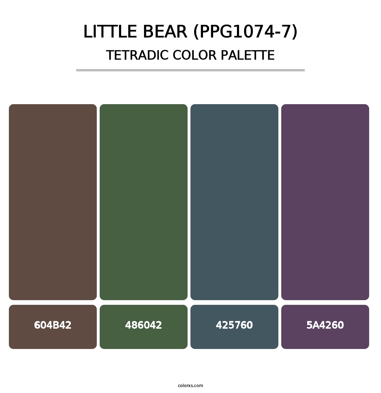 Little Bear (PPG1074-7) - Tetradic Color Palette
