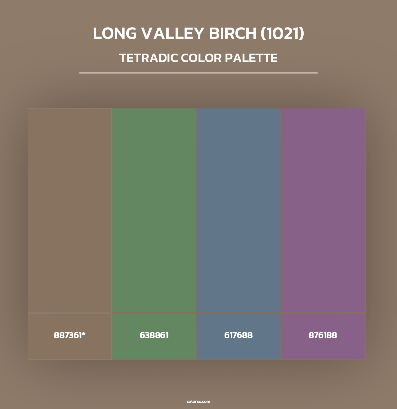 Long Valley Birch (1021) - Tetradic Color Palette