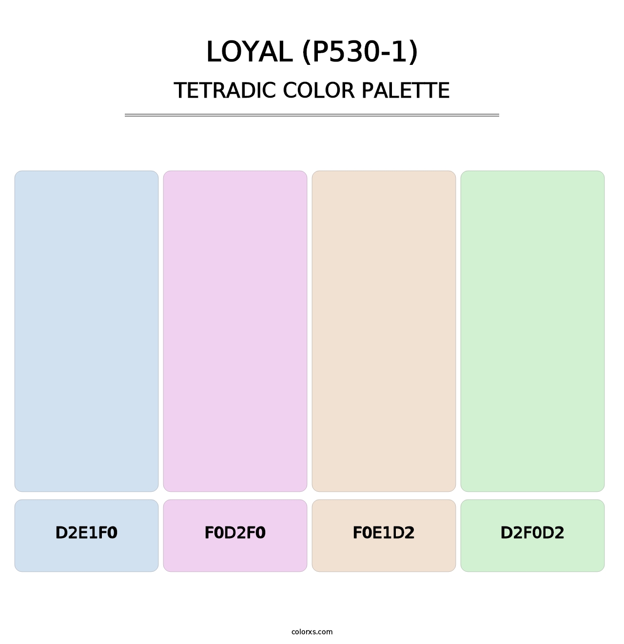 Loyal (P530-1) - Tetradic Color Palette