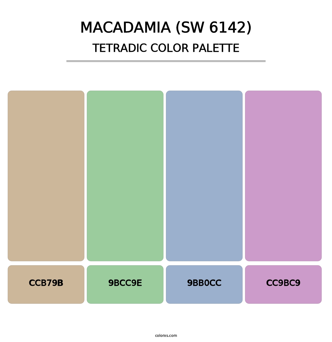 Macadamia (SW 6142) - Tetradic Color Palette