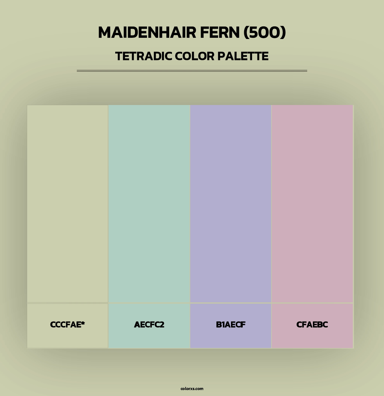 Maidenhair Fern (500) - Tetradic Color Palette