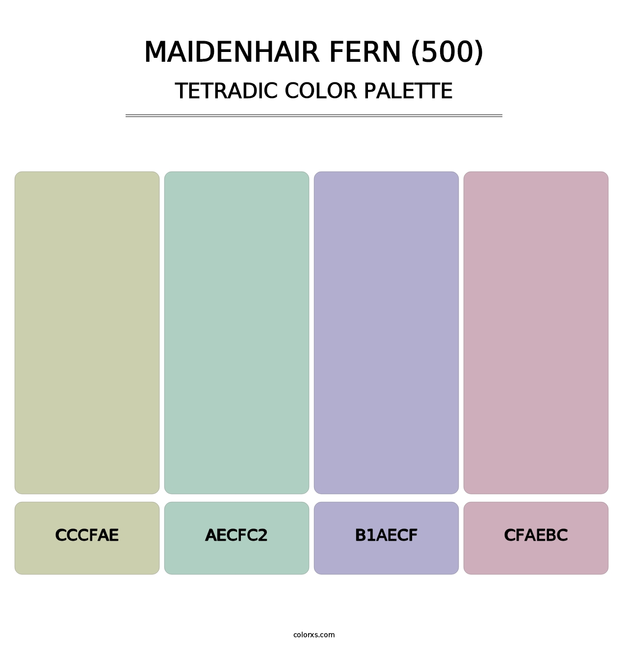 Maidenhair Fern (500) - Tetradic Color Palette