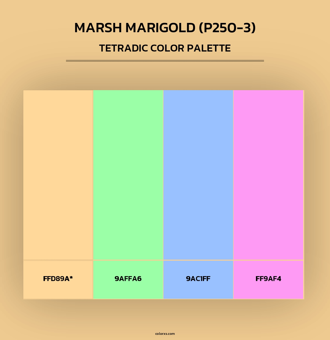 Marsh Marigold (P250-3) - Tetradic Color Palette