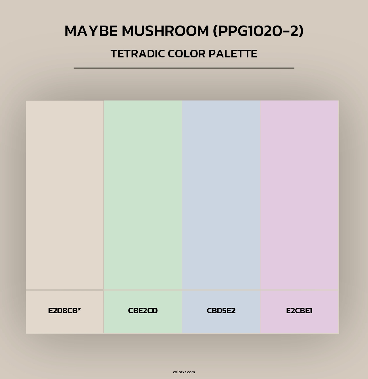 Maybe Mushroom (PPG1020-2) - Tetradic Color Palette