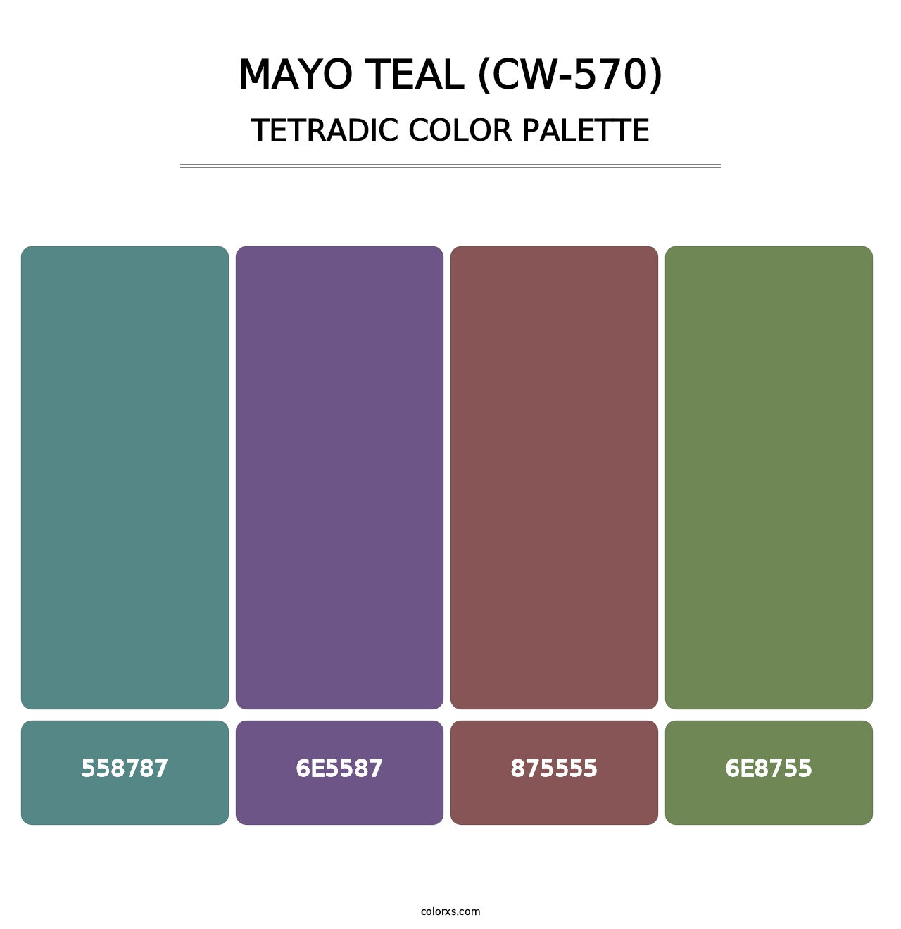Mayo Teal (CW-570) - Tetradic Color Palette