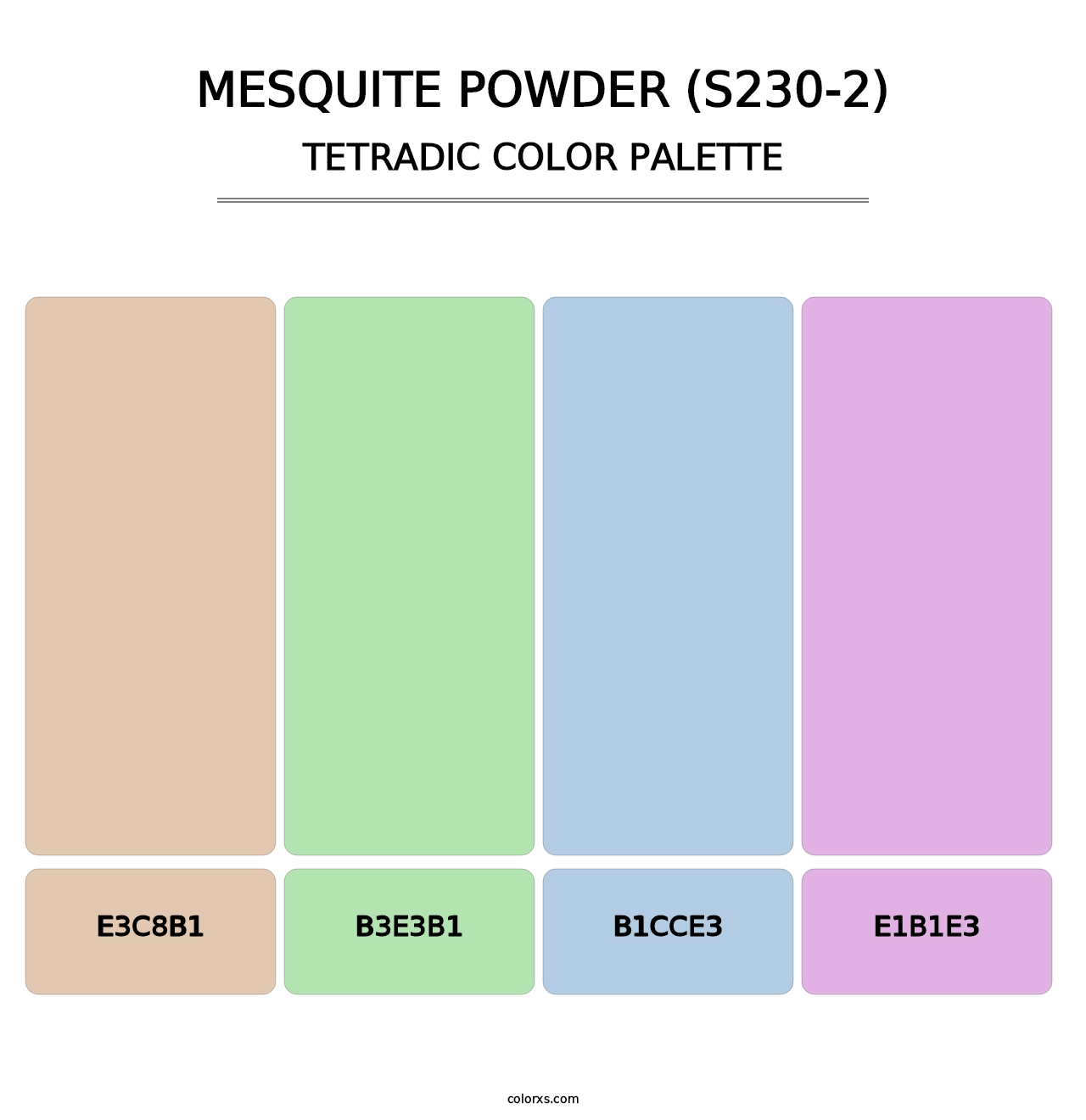 Mesquite Powder (S230-2) - Tetradic Color Palette