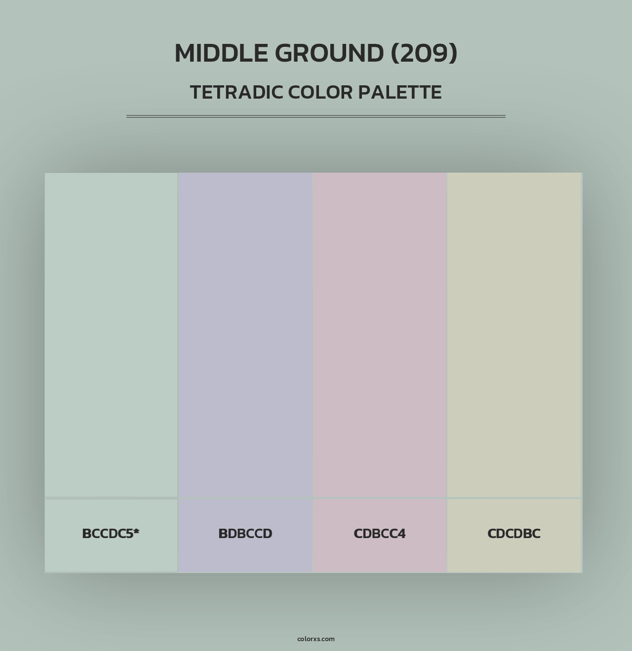 Middle Ground (209) - Tetradic Color Palette