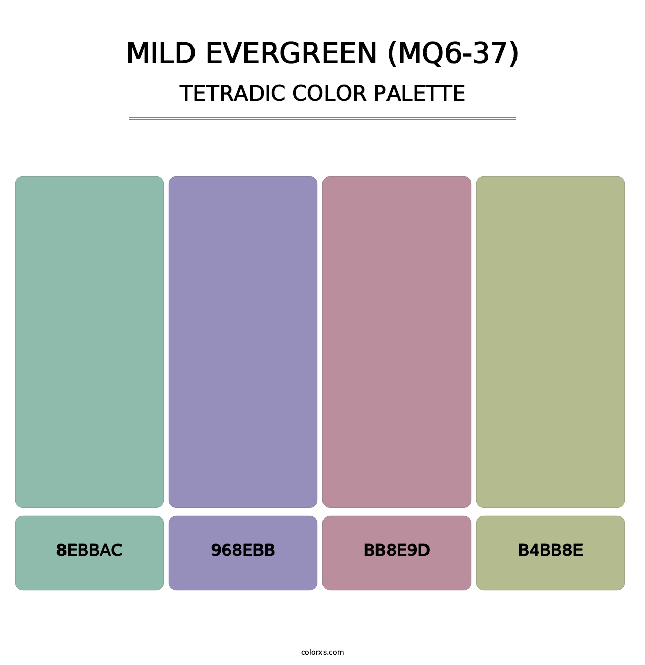 Mild Evergreen (MQ6-37) - Tetradic Color Palette