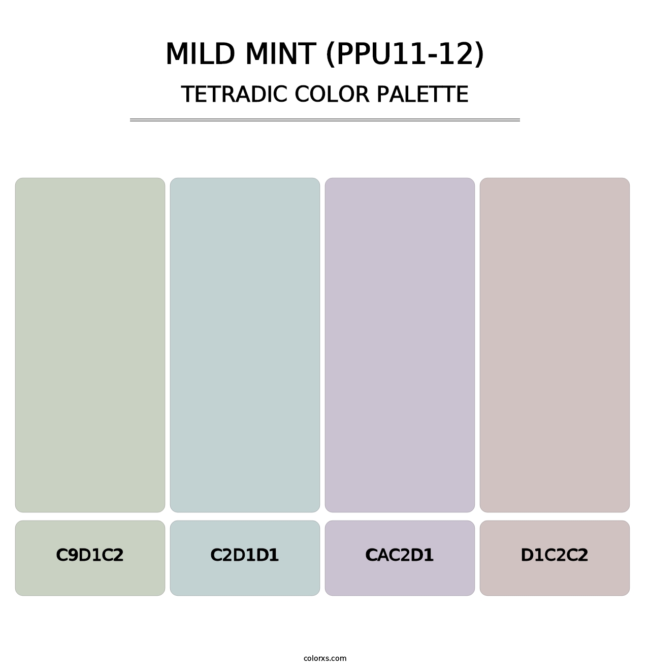 Mild Mint (PPU11-12) - Tetradic Color Palette