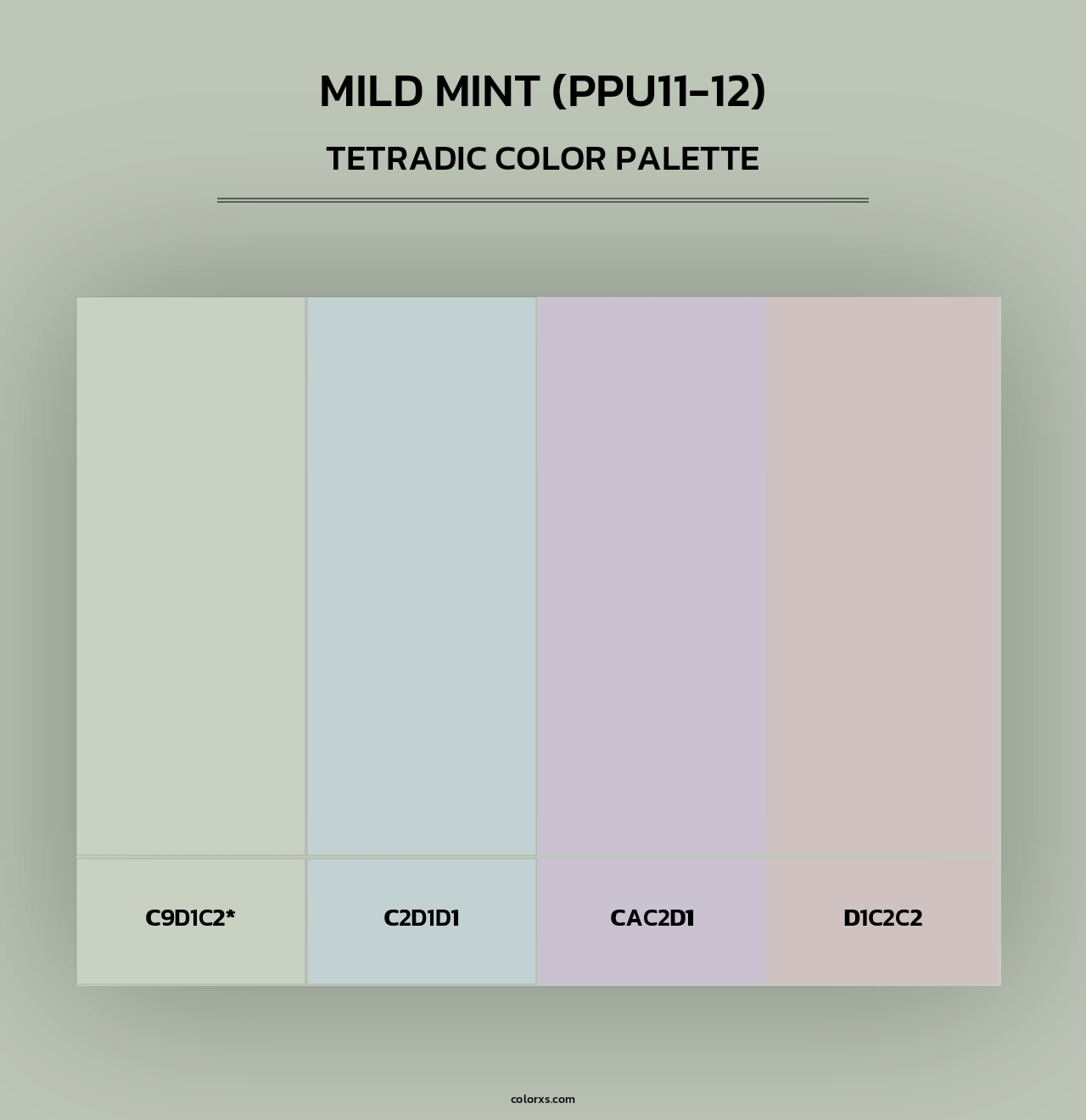 Mild Mint (PPU11-12) - Tetradic Color Palette
