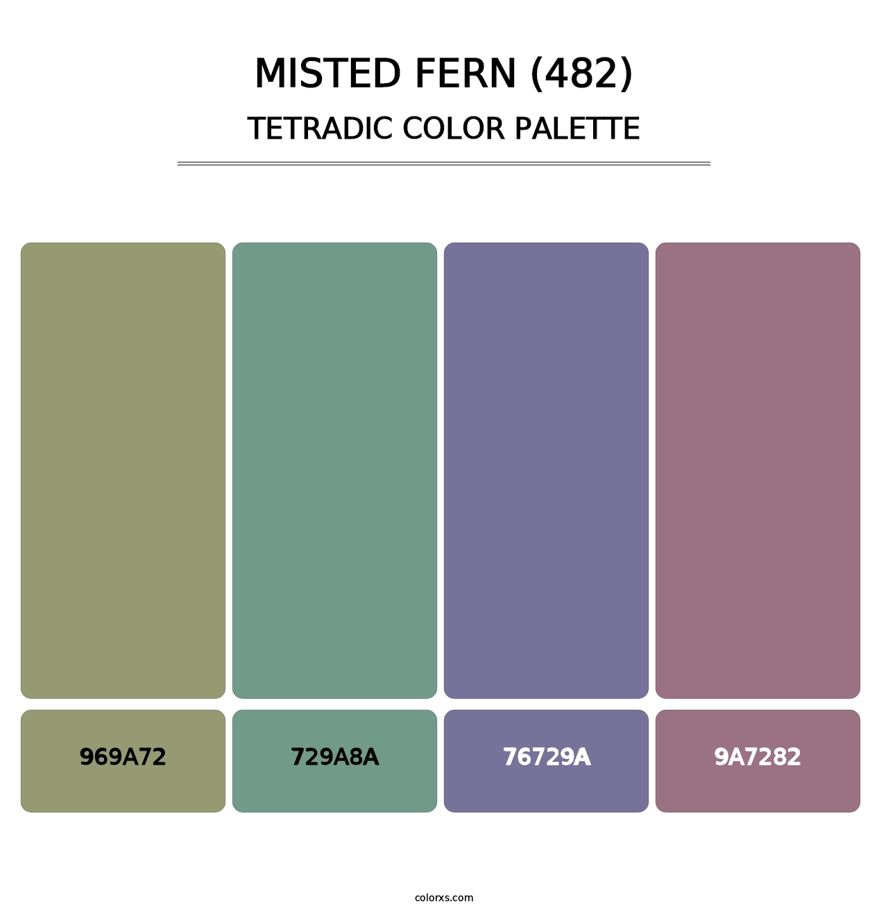 Misted Fern (482) - Tetradic Color Palette
