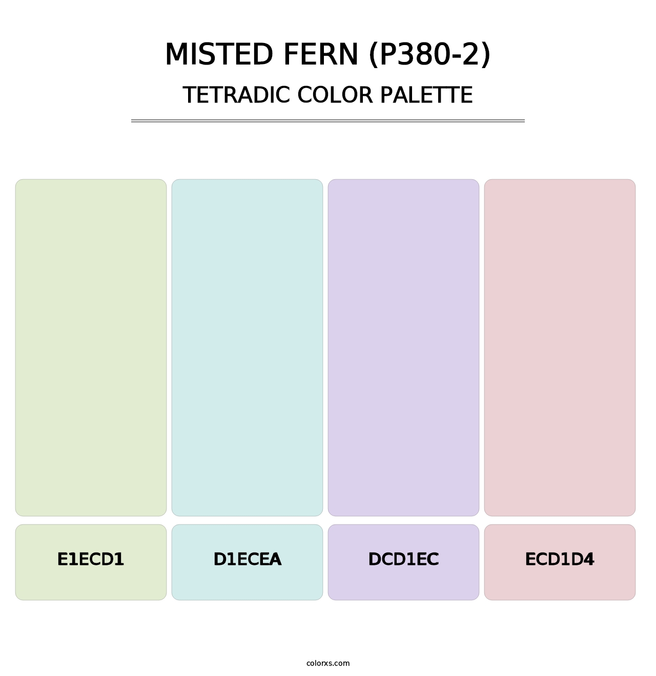 Misted Fern (P380-2) - Tetradic Color Palette