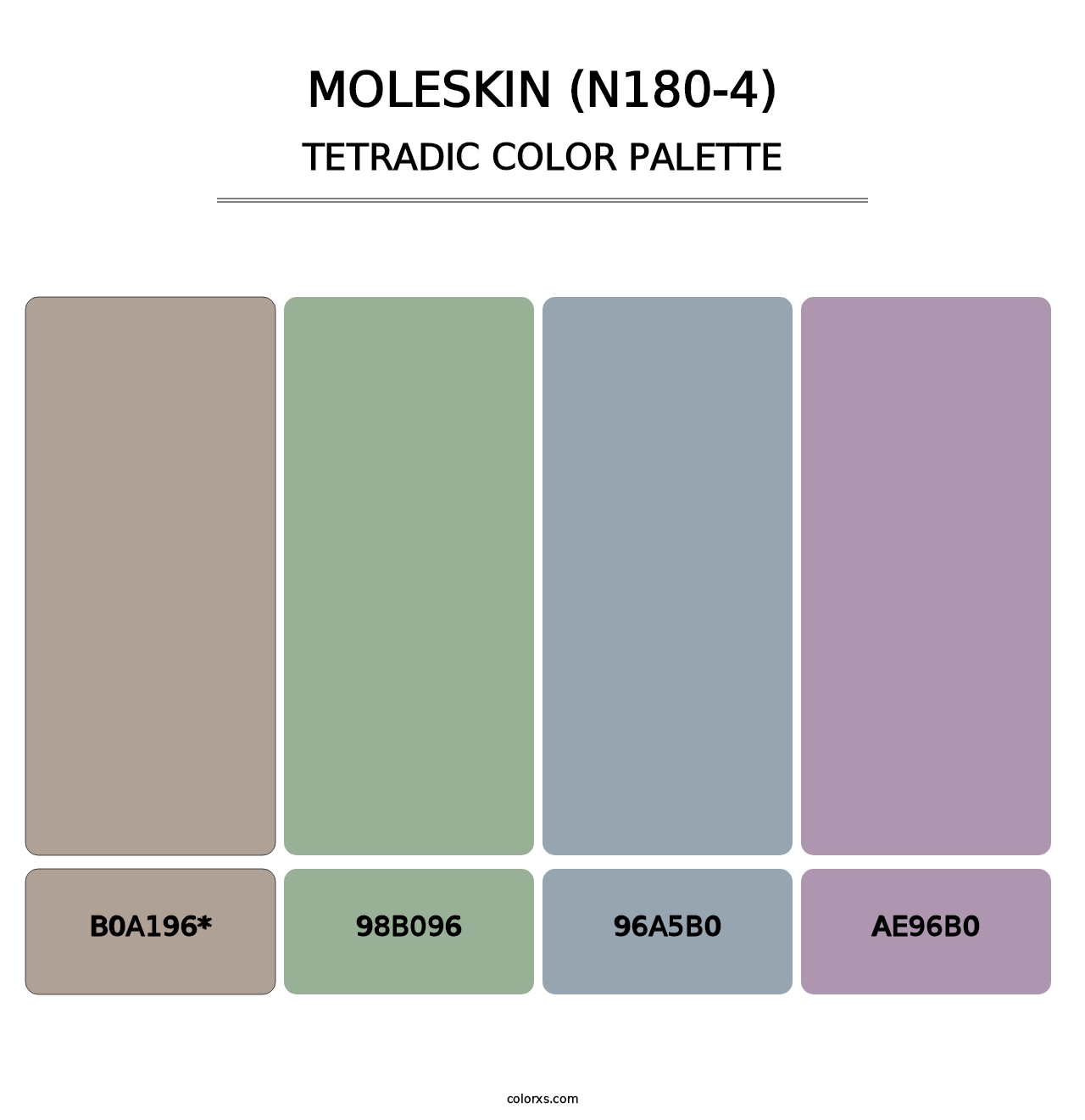 Moleskin (N180-4) - Tetradic Color Palette