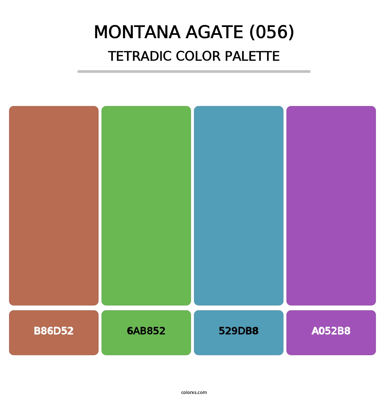 Montana Agate (056) - Tetradic Color Palette