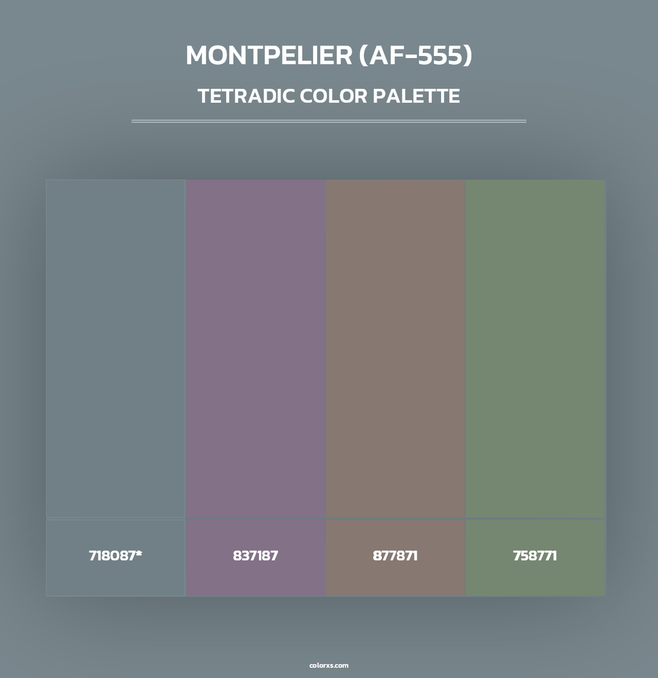 Montpelier (AF-555) - Tetradic Color Palette